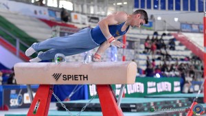 serie a foto simone ferraro sfa 3360 copia